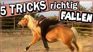 Sie musste daraufhin 2 halswirbel versteifen lassen. 5 Tricks Richtig Fallen Vom Pferd Bei Sturz Weniger Verletzungen Youtube