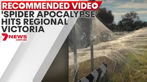 More news for regional victoria » Victoria Records Five New Covid Cases On Wednesday Ahead Of Restrictions Announcement 7news