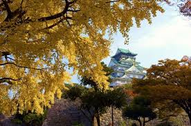 Japan Fall Leaves Calendar 2020 Seasonal Forecast And Best Spots Matcha Japan Travel Web Magazine Learn about japan's autumn forecast in 2020 to see the best places and timings for when to see the autumn leaves in japan. japan fall leaves calendar 2020