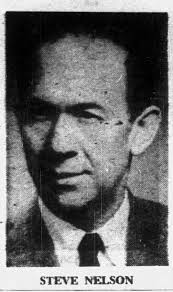 Steve Nelson (activist)