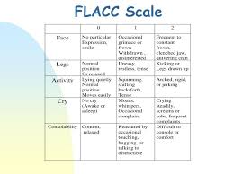 Image result for FLACC Scale
