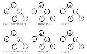 Kpk dari 10 dan 20 menggunakan pohon faktor. Cara Mencari Kpk Kelipatan Persekutuan Dan Faktorisasi Prima