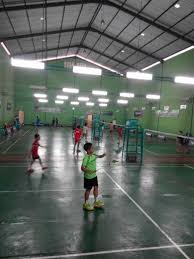 Pin Di Damar S Badminton