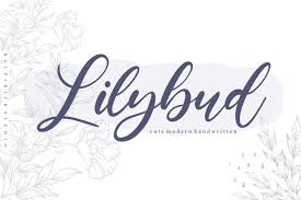 Cute +, girly, whimsical +, handwriting +, script +. Lilybud Cute Modern Handwritten Font 643447 Handwritten Font Bundles In 2020 Modern Calligraphy Fonts Font Bundles Handwritten Fonts