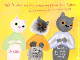 放開你的鹹豬手 貓肚子有話要說 ettoday寵物動物新聞 ettoday 新聞雲 animal illustration animals thats not my