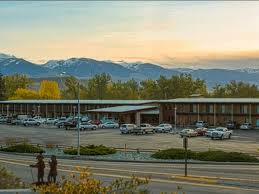 Mystery Murphy and AJ Magro's Wedding Website