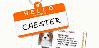 Some people like to put other information on their dog tags, but there are some considerations people might want to make before they do. Dog Tag With Microchip Number Www Macj Com Br