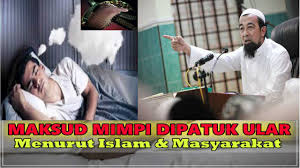 Arti mimpi bangunan gedung bertingkat. Mimpi Ular Sewaktu Tidur Apakah Petanda Jodoh Hampir Tiba Atau S1hir Yang Sedang Menghampiri Ikuti Penjelasan Ini Satkoba Press