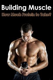 Check spelling or type a new query. Building Muscle How Much Protein To Take