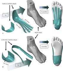 Kuru® plantar fasciitis shoes mold to feet. Prediction On The Plantar Fascia Strain Offload Upon Fascia Taping And Low Dye Taping During Running Sciencedirect