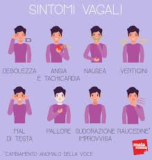 Nervo Vago Che Cos E Anatomia Funzionalita Disturbi Sintomi E Cure