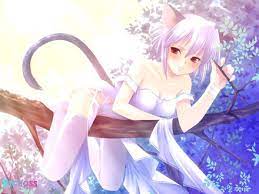 The word is a compound of nyan (ニャン) which is a japanese onomatopoeia for a cat sound, and deredere (デレデレ) which means lovey. What S The Appeal Of Cat Ears