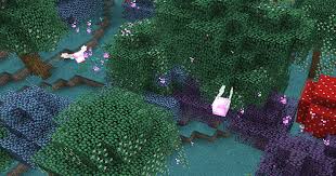Biomes O Plenty Wiki Biome List Pixie Biomes O Plenty Wiki Fandom