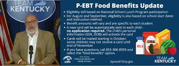 I lost my ebt card. Pandemic Food Relief P Ebt Extended Lexfun4kids