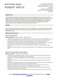 Real Estate Agent Resume Samples Qwikresume