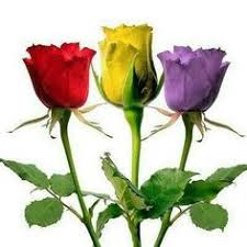 Resultado de imagen de Los colores de la bandera republicana española fotos e imágenes