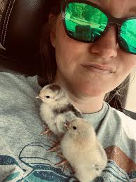 New Chicken Place, Cane's, Coming to Spring Hill, FL