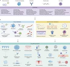 There comes a time where a man (or a woman) has to do what the movies have only taught us to do: The Evolution Of Commercial Drug Delivery Technologies Nature Biomedical Engineering