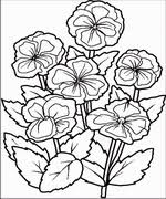 Flower coloring pages by thecolor.com. Flowers Online Coloring Pages