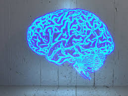 Maybe you would like to learn more about one of these? Brain Training Games Don T Boost Iq Here S What Does Vox