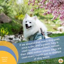 The best green waste removal service in melbourne. The 7 Options For How To Dispose Of Dog Poop The Green Way Our Pets Health