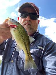 Fishing at Stonewall Jackson: What species caught?