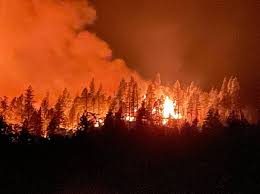 It is 35 percent contained. Evacuations For Ca Dixie Fire Wildfire Grows To 1 200 Acres The Sacramento Bee