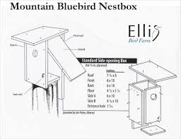 Bird in everything cardinal house dimensions. Swallow Bird Houses Plans Nestwatch All About Birdhouses Nestwatch