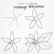 Black And White Orange Blossom Clip Art Hi Everyone Hope You Re Having A Great Saturday And That You Find A Minute To Try Out This Orange Bloss Flower Drawing Flower Drawing Tutorials Floral Drawing