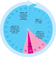 Pin On Hormone Balancing Pms