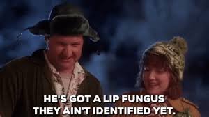 Test your knowledge on this movies quiz and compare your score to others. Jolliest Bunch Of Christmas Vacation Gif