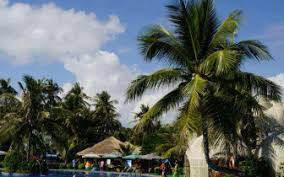 Image result for Tax Free Incentives Give Impetus to Hainan Tourism Destination