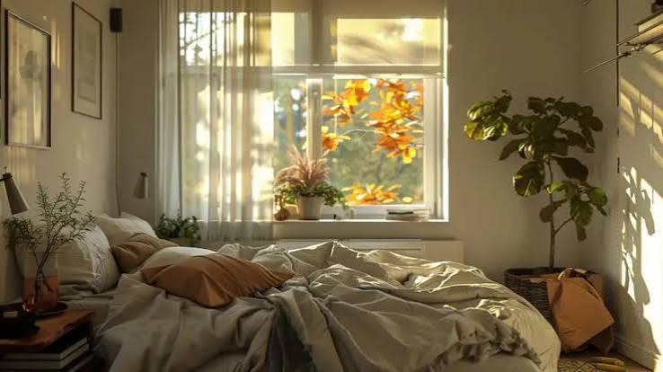 The Wellness Bedroom: Creating a Sanctuary for Mind and Body | Healthy ZZZ's