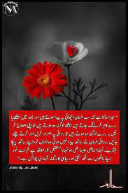 Pin By Samreen ثمرین On Haalim In 2020 Quotes From Novels Special Quotes Urdu Novels
