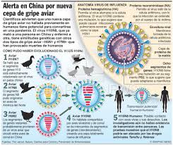La gripe aviar es una enfermedad infecciosa vírica de las aves (en especial de las aves acuáticas en función del huésped original, los virus de la gripe de tipo a se pueden clasificar como aviares. China Generacion De Virus De La Gripe Aviar Infographic