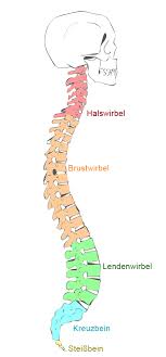 Schweizer verlage, die für den gesamten deutschsprachigen markt produzieren, verwenden das ß jedoch weiterhin. Doppel S Form Die Krummung Der Wirbelsaule Betten De Lexikon