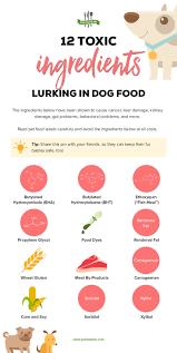 Senior, puppy, large breed, small breed, whitefish and sweet potato, lamb and barley, turkey and oatmeal and more; Attention Pet Lovers Avoid These 12 Toxic Ingredients In Dog Food