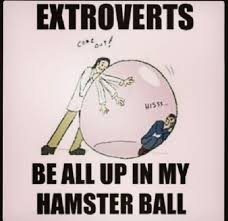 Image result for introvert