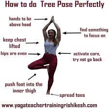 Types Of Yoga Types Of Yoga Tree Pose Yoga