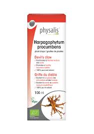 Image result for Harpagophytum procumbens