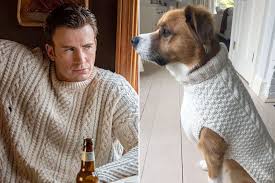 Chris evans is a jerk who keeps telling his family to eat shit. tuesday's release of the trailer for knives out proves that actors can shed their most identifiable roles ― even when they're known for playing james bond and captain america. Chris Evans Got His Dog The Sexy Knives Out Sweater