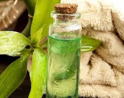 How To Get Rid Of Back Acne Naturally 17 Home Remedies Tea Tree Oil For Acne Tea Tree Essential Oil Herbalism