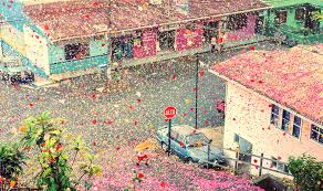 Maybe you would like to learn more about one of these? 8 Million Flower Petals Rain Down On A Village In Costa Rica Bored Panda