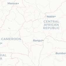 Image result for Sarcophrynium schweinfurthianum