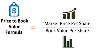 Seperti yang sudah dijelaskan sebelumnya, salah satu komponen untuk menghitung nilai price to book value adalah book value. Price To Book Value Formula Calculator Excel Template