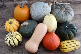 winter squash guide co op wele to