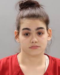 Knox county arrest records available