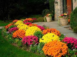 Garden Pathway Ideas For Fall Fall Landscaping Front Yard Landscaping Garden Mum