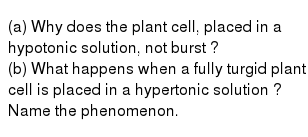 Major topics include photosynthesis, cellular respiration, plant and animal cells, prokaryotes and eukaryotes, active and passive transport, and osmosis and diffusion. A Why Does The Plant Cell Placed In A Hypotonic Solution Not Burst B What Happens When A Fully Turgid Plant Cell Is Placed In A Hypertonic Solution Name The Phenomenon