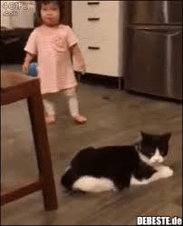 Lustige videos lustige bilder lustige kinderbilder katzen lustige sprüche niedliche kinder baby fotoshooting ideen gif bilder lustig kinder dieser gif. 74 Lustige Gifs Kinder Kinder Lustig Debeste